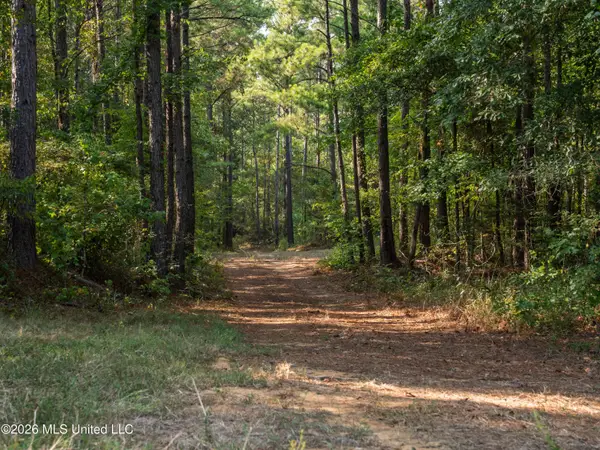 884 Truitt Road, Pickens, MS 39146