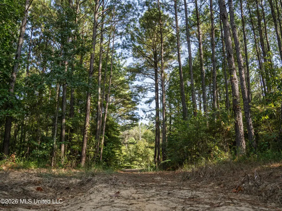 884 Truitt Road, Pickens, MS 39146 - #2