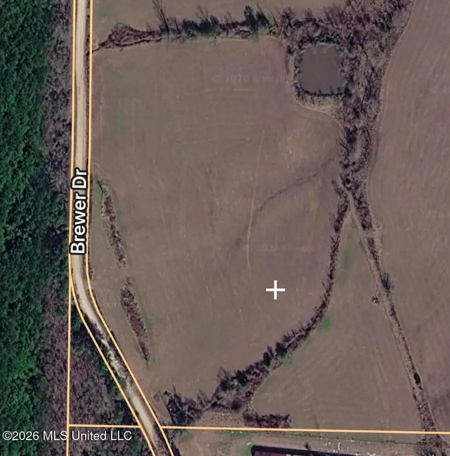0 Brewer Drive, Forest, MS 39074 - #3