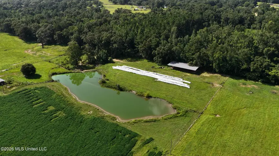 Ten Mile Church Rd, Perkinston, MS 39573 - #2