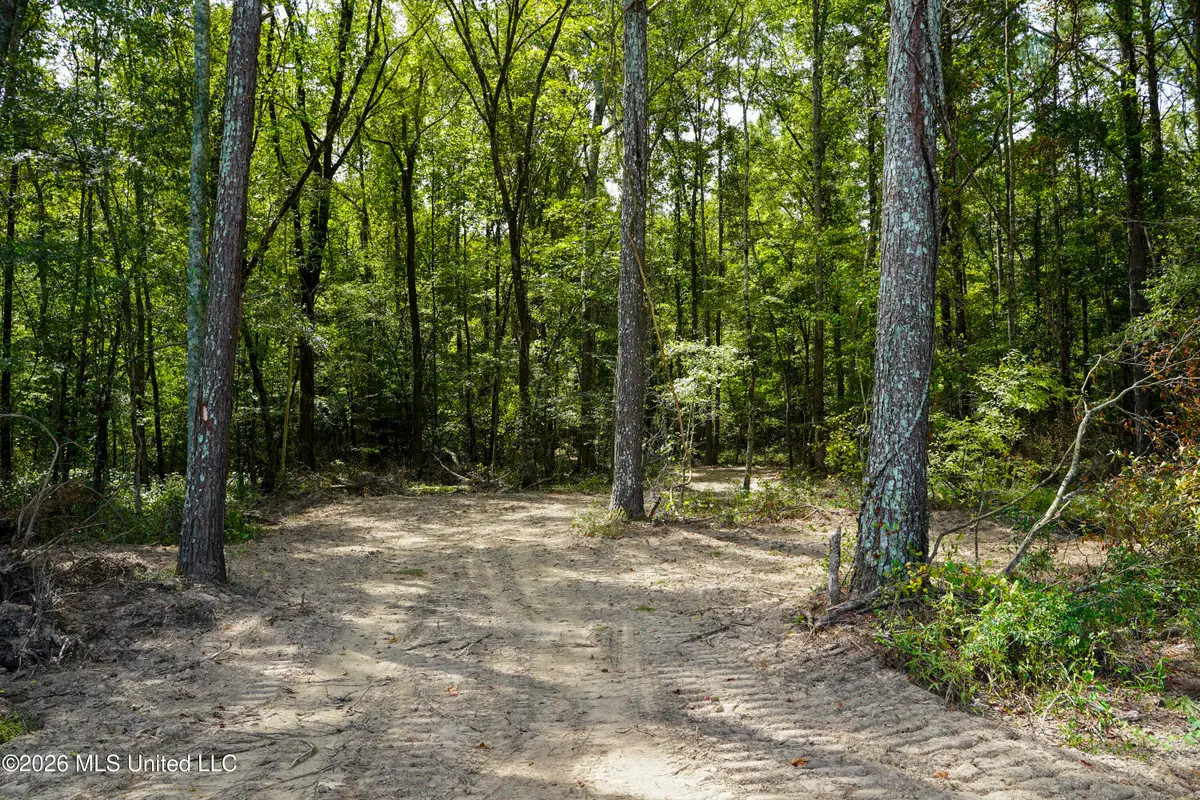 Johns Shiloh Road, Brandon, MS 39042 - #1