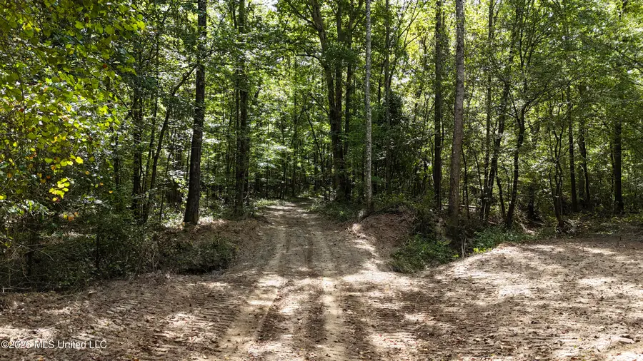 Johns Shiloh Road, Brandon, MS 39042 - #2