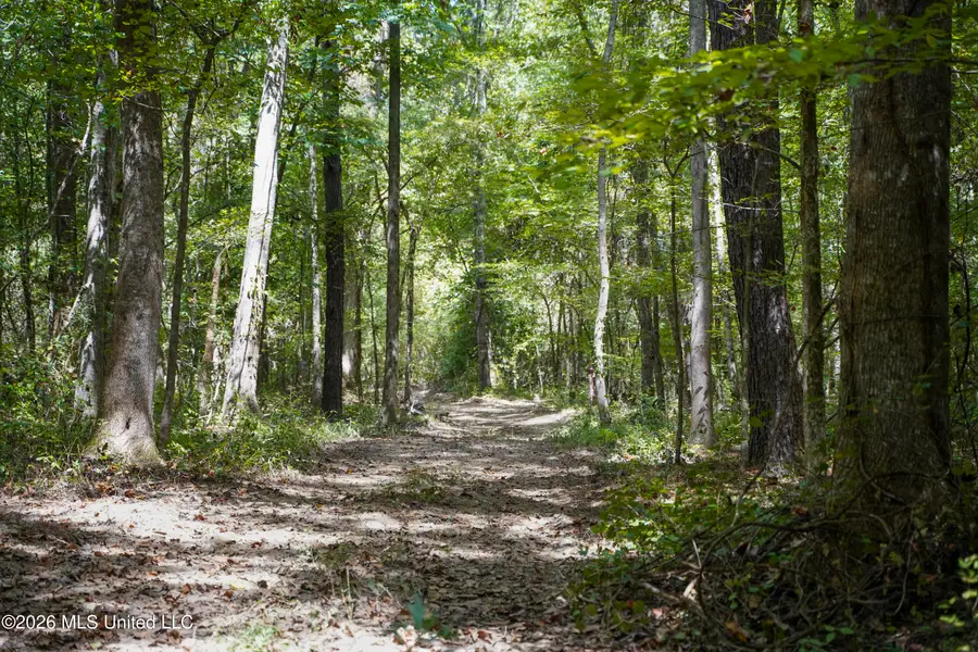 Mcintyre Road, Brandon, MS 39042 - #2