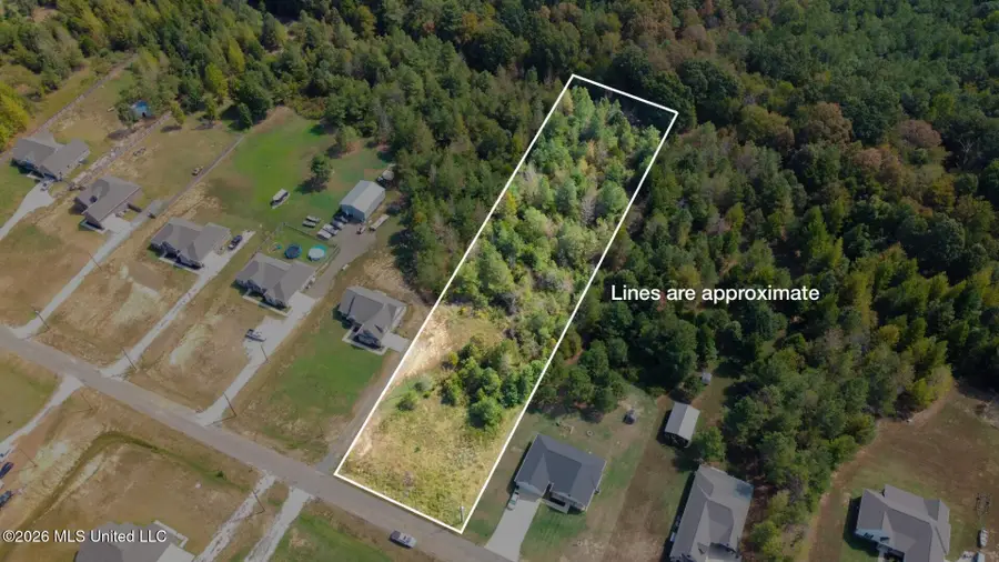 131 Deerfield Trace, Coldwater, MS 38618 - #3
