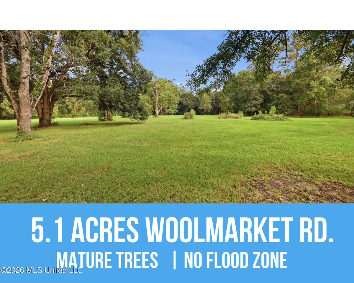 Woolmarket Road, Biloxi, MS 39532 - #1