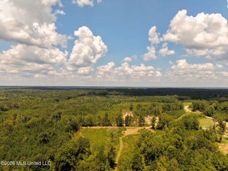 Slick Parker Road, Noxapater, MS 39346 - #2