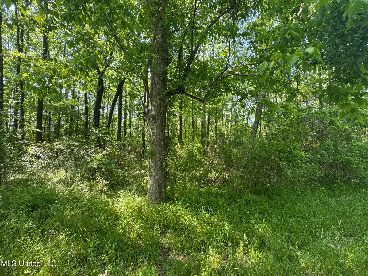 Old Hwy 471, Brandon, MS 39042 - #1
