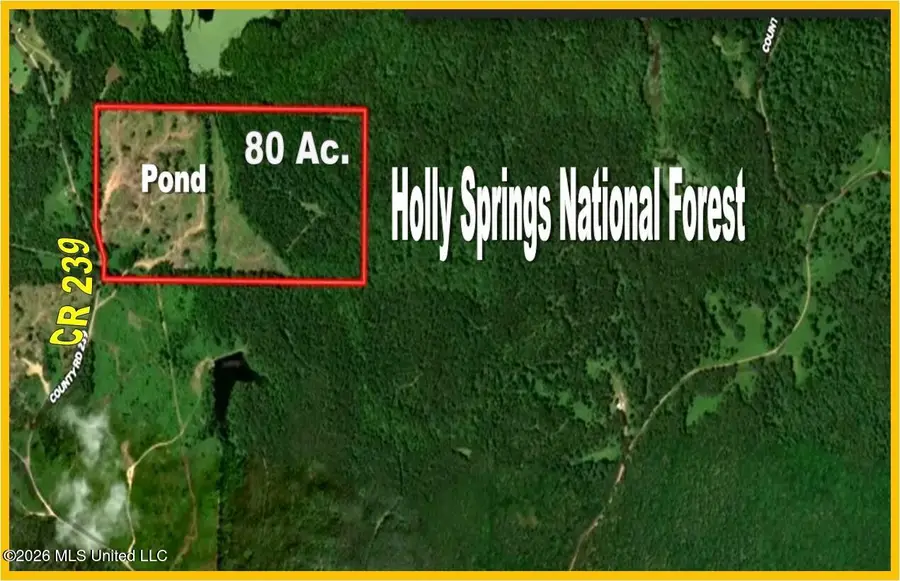 275 County Road 239, Tillatoba, MS 38961 - #2