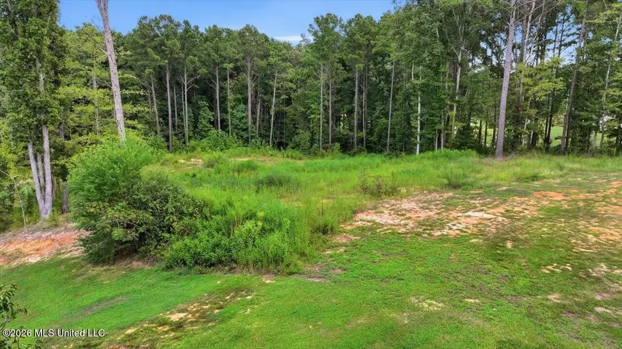 Dogwood Trace, Brandon, MS 39042 - #3