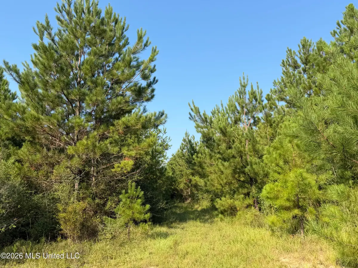 156.3 Acres Beesley Road, Lucedale, MS 39452 - #1