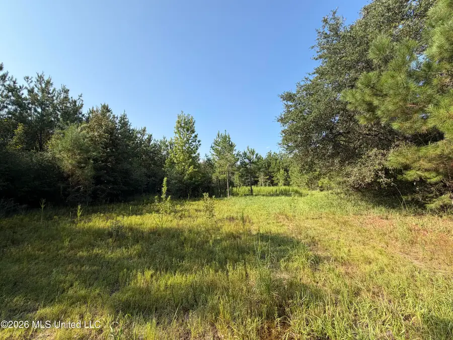 156.3 Acres Beesley Road, Lucedale, MS 39452 - #2