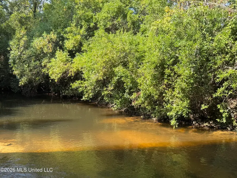 156.3 Acres Beesley Road, Lucedale, MS 39452 - #3