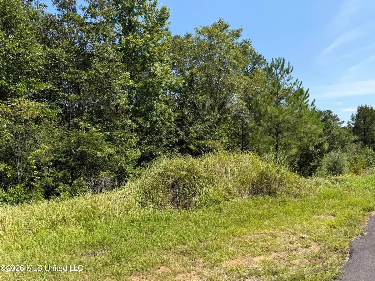3.7 Acres Beesley Road, Lucedale, MS 39452 - #1