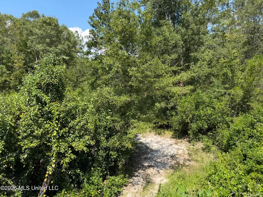 3.7 Acres Beesley Road, Lucedale, MS 39452 - #2