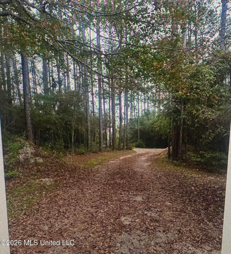 14081 Woodland Hills Drive, Biloxi, MS 39532 - #2