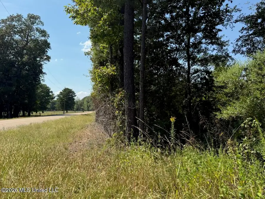 Jims Road, Lena, MS 39094 - #3
