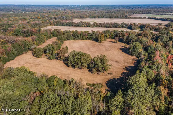 11880 Fairview Road, Olive Branch, MS 38654 - #2