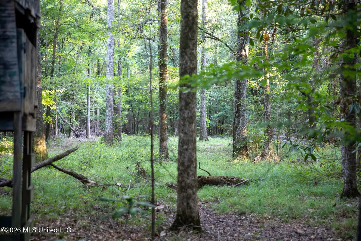 Owen Boone Rd, Puckett, MS 39042 - #1