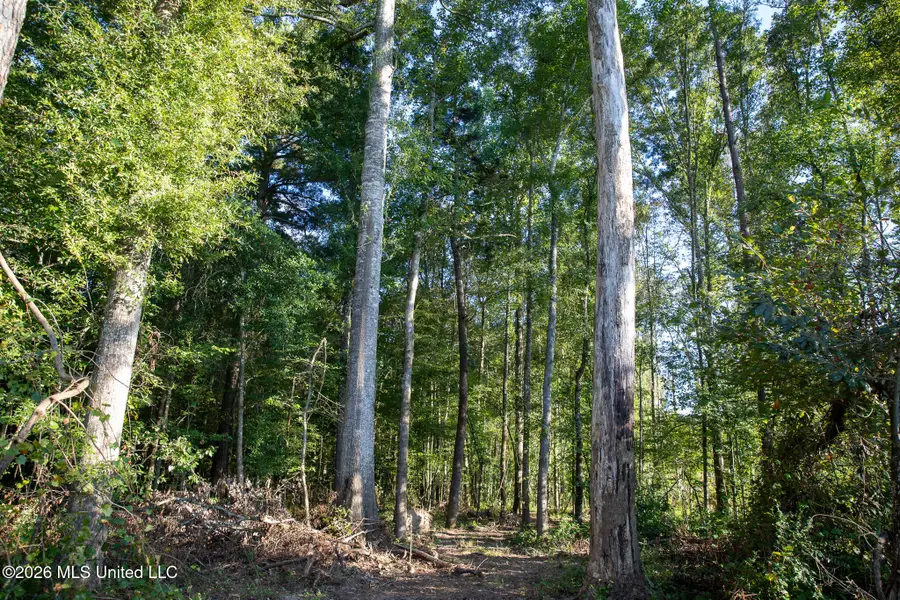 Owen Boone Rd, Puckett, MS 39042 - #3