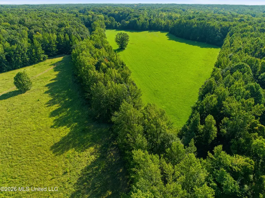 2208 Bend Road, Coldwater, MS 38618 - #2