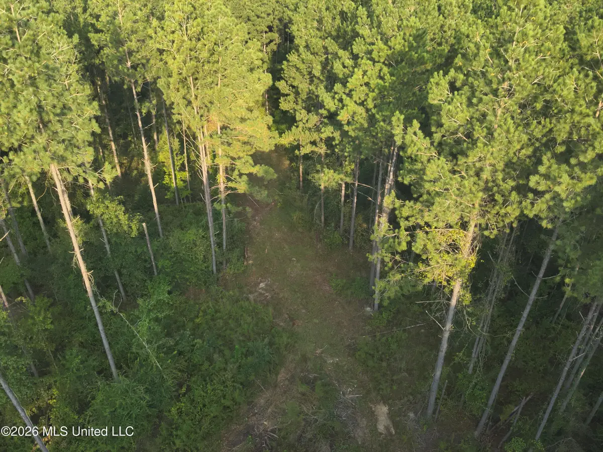 1178 Tolar Road, Oak Vale, MS 39656 - #1