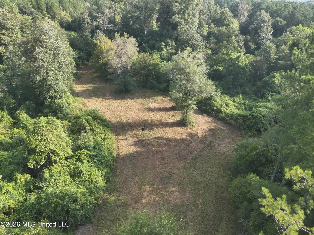 220 Ms-43, Oak Vale, MS 39656 - #1