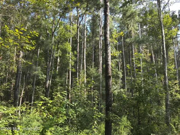Jw Jones, Oak Vale, MS 39656