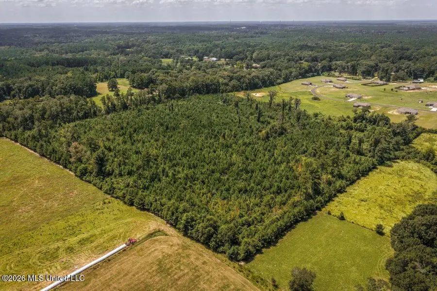 Xxx Driftwood Road, Summit, MS 39666 - #2