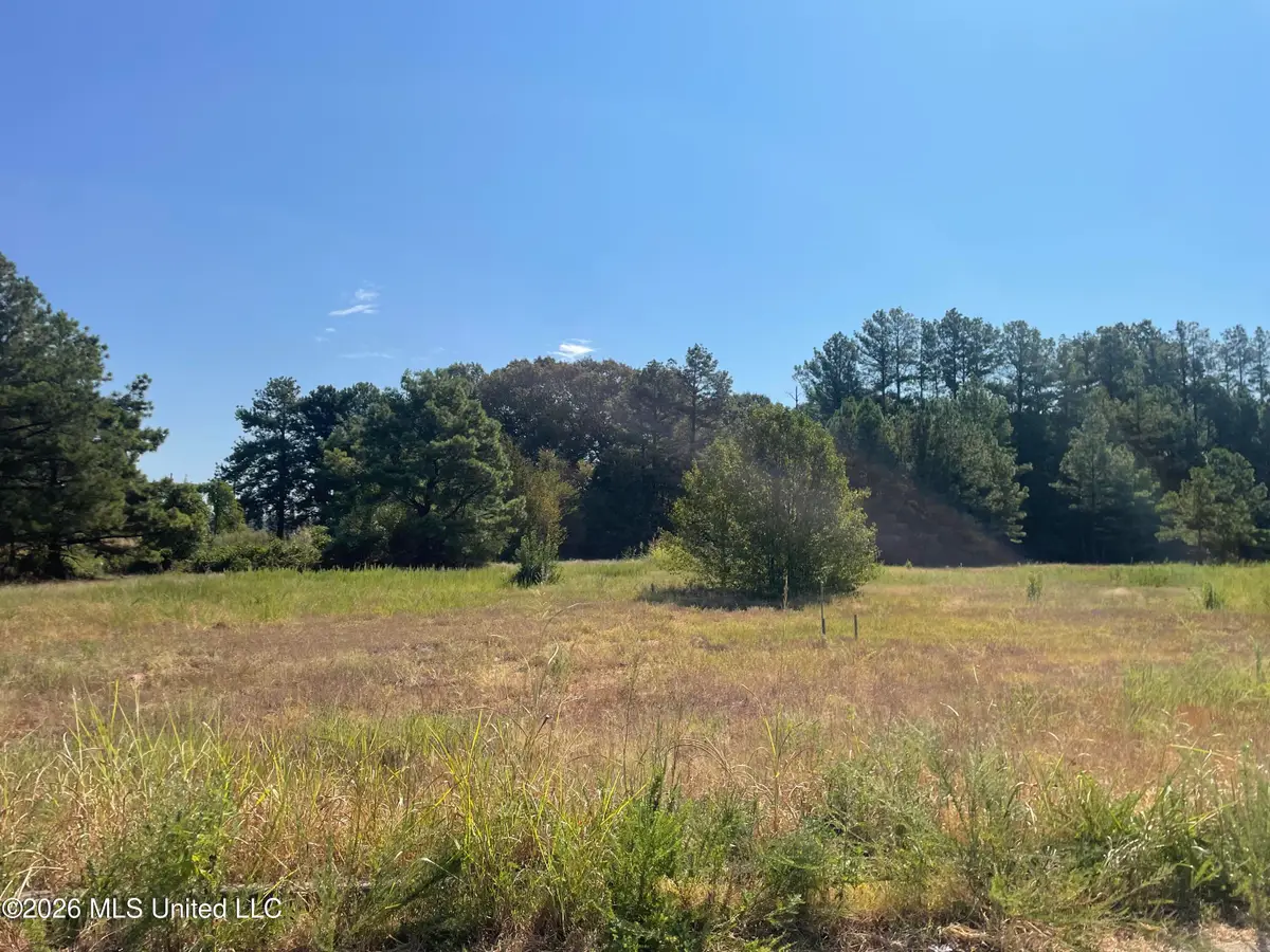 577 Starlanding, Hernando, MS 38632 - #1