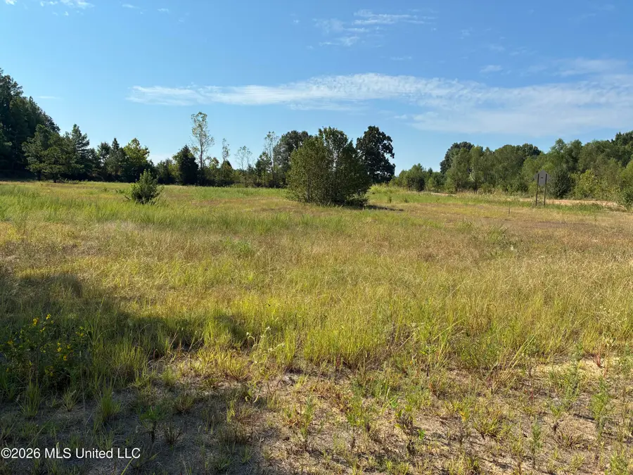 577 Starlanding, Hernando, MS 38632 - #3