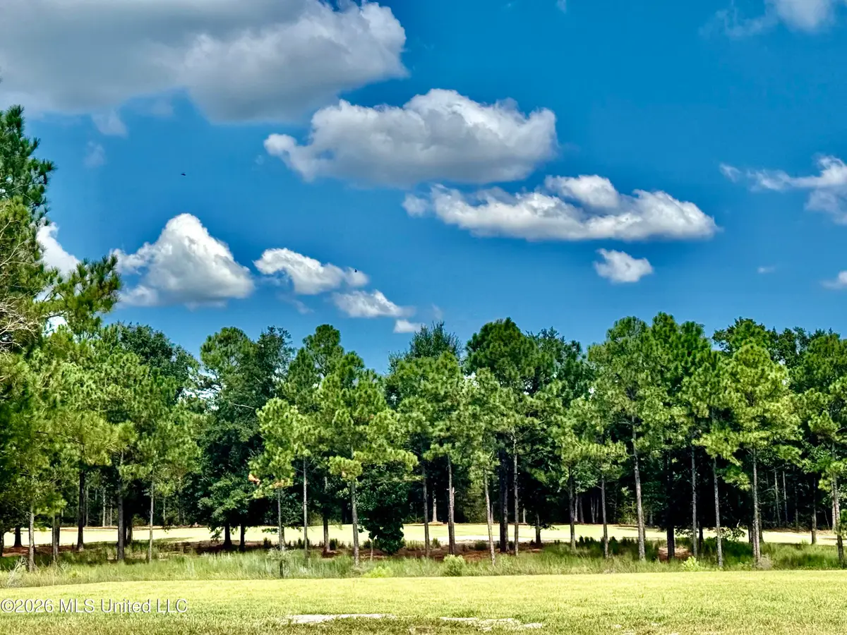 Lot 153 Players Cove, Gautier, MS 39553 - #1