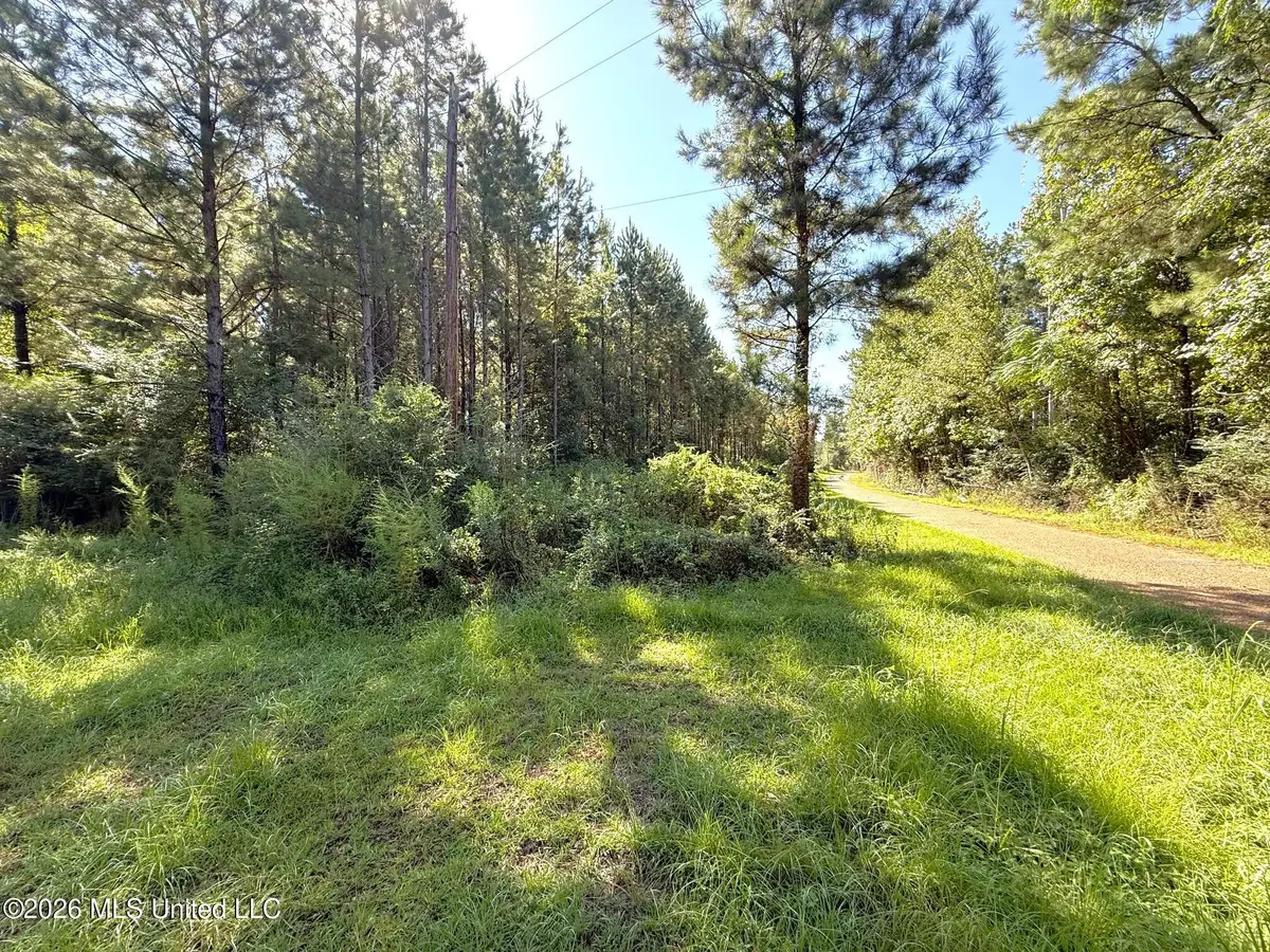 Bethel Road, Liberty, MS 39645 - #1