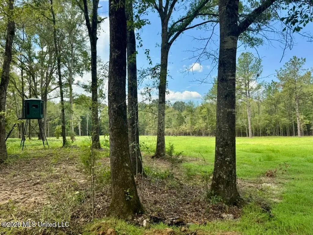 0001 Chapel Hill Road, Utica, MS 39175 - #1