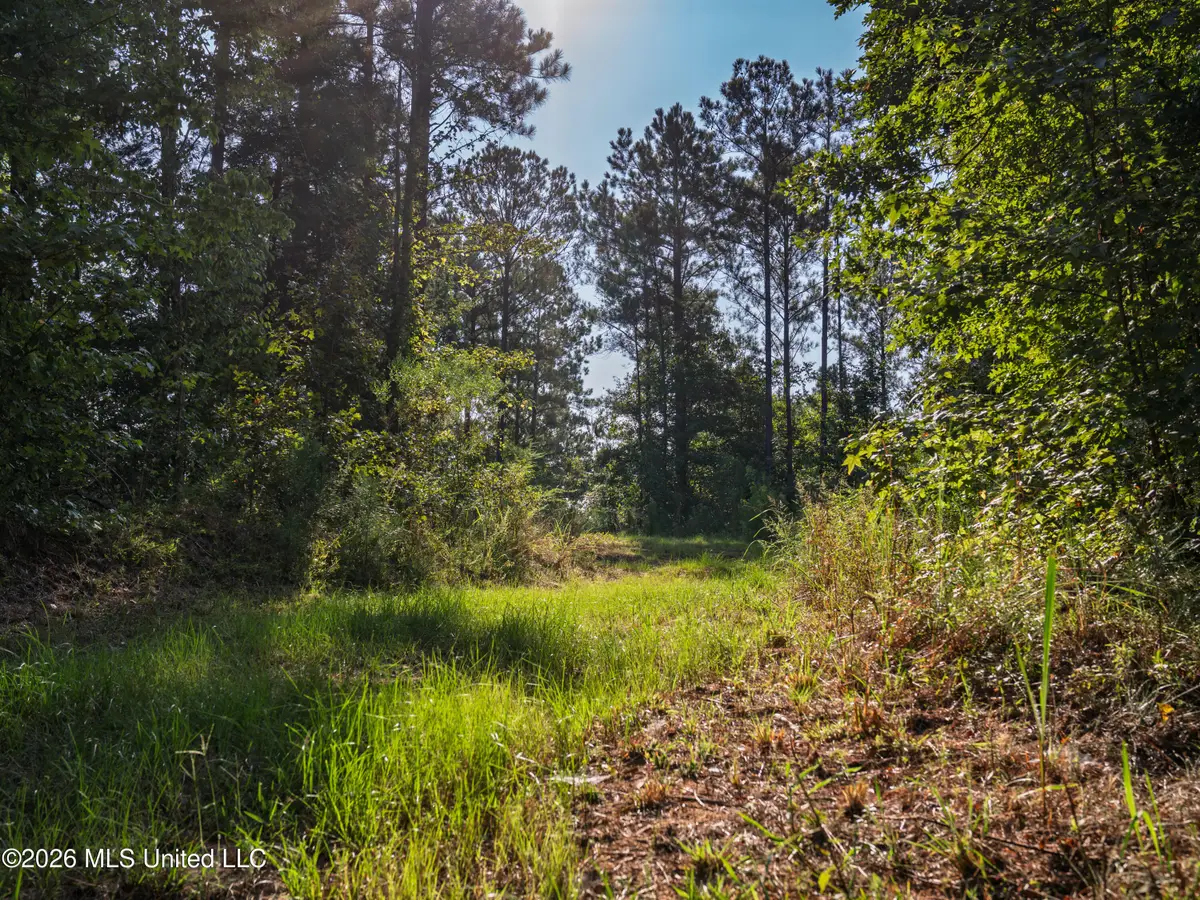 Attala Road 3053, Kosciusko, MS 39090 - #1