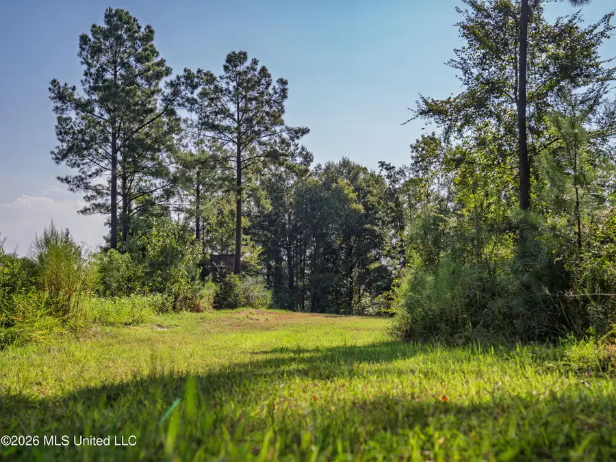 Attala Road 3053, Kosciusko, MS 39090 - #3