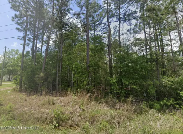 Lake Road, McHenry, MS 39561