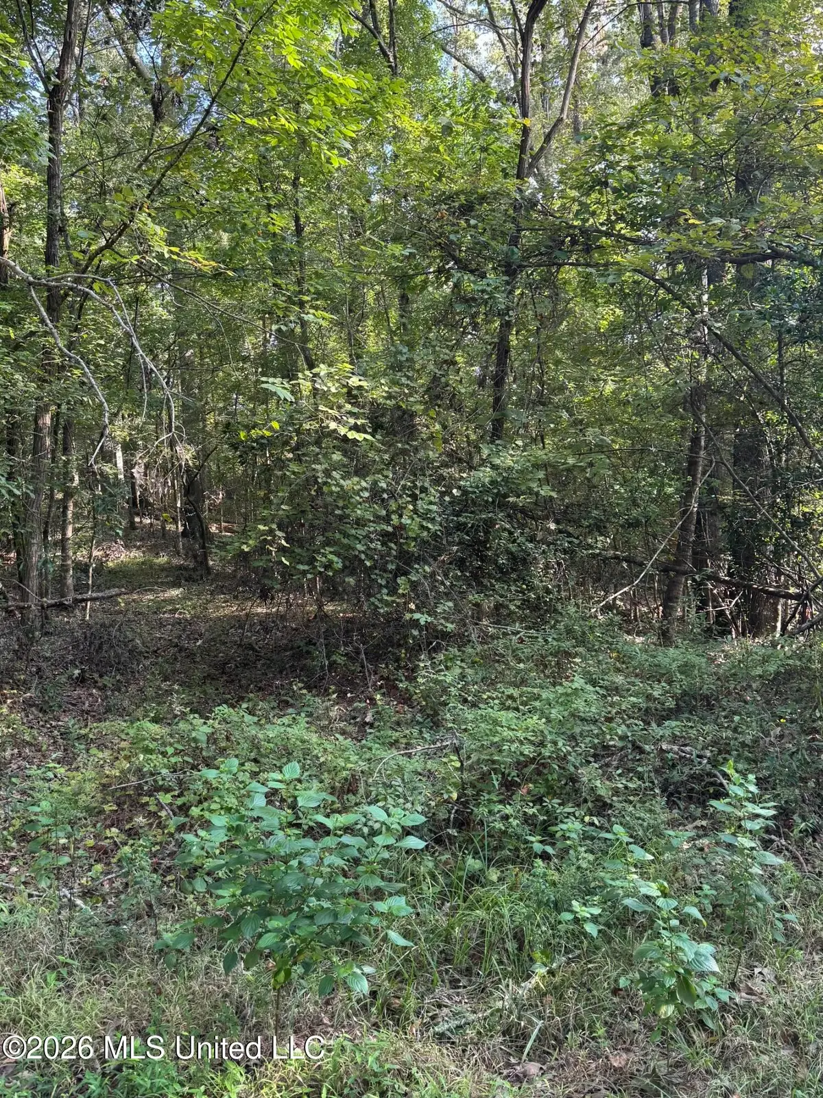 15 Aberdeen Road, Natchez, MS 39120 - #1