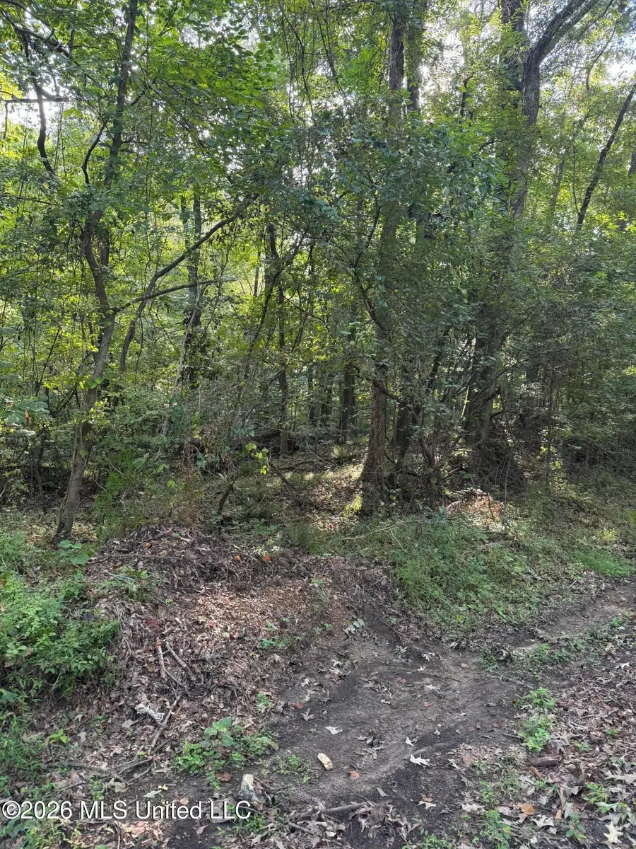 15 Aberdeen Road, Natchez, MS 39120 - #2