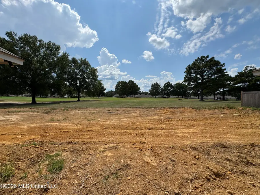 557 Patrick Farms Drive, Pearl, MS 39208 - #3
