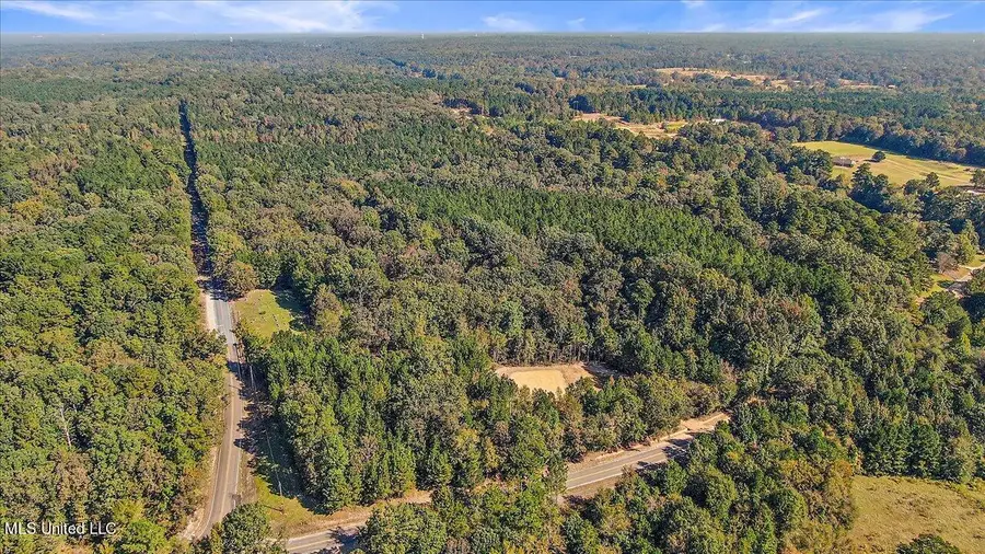 0 Cleary Road, Florence, MS 39073 - #3