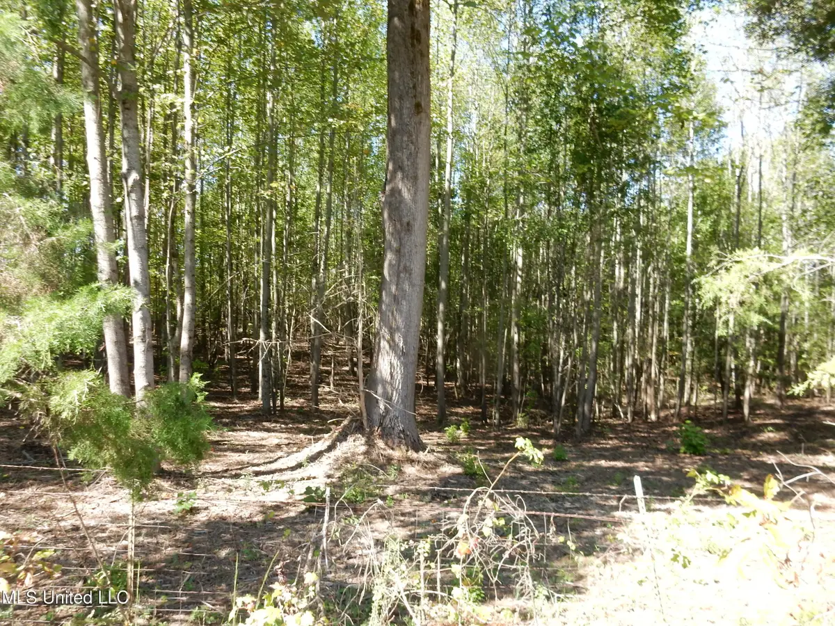 Lot 1 Cypress Corner Road, Senatobia, MS 38668 - #1