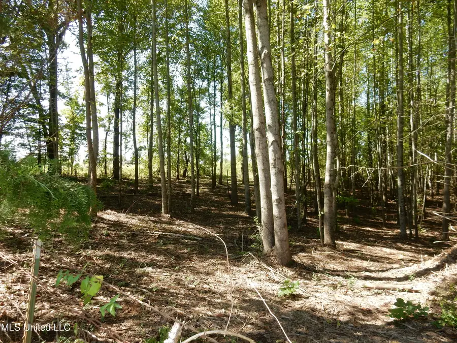 Lot 1 Cypress Corner Road, Senatobia, MS 38668 - #3