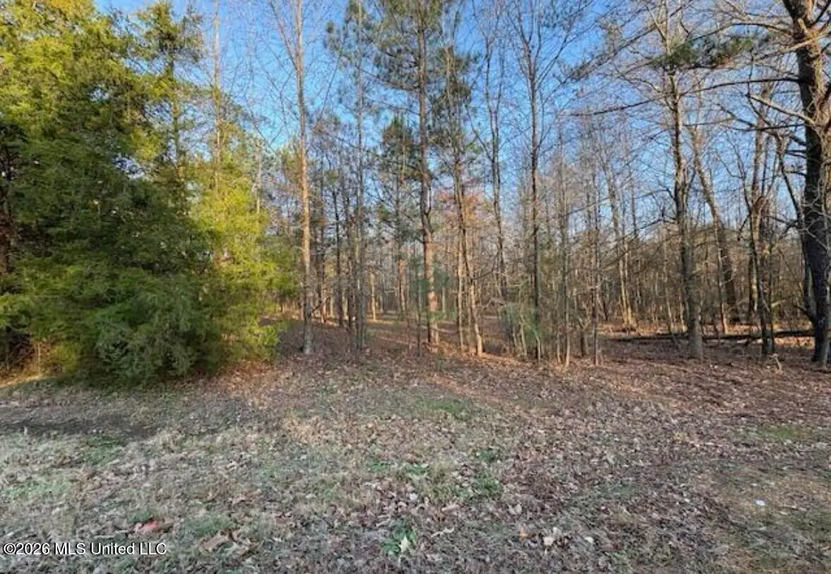 1397 Gravel Springs Road, Senatobia, MS 38668 - #1