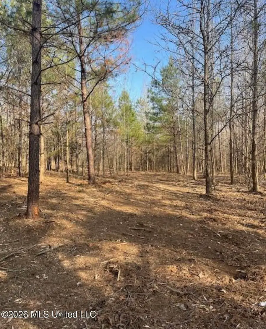 1397 Gravel Springs Road, Senatobia, MS 38668 - #2