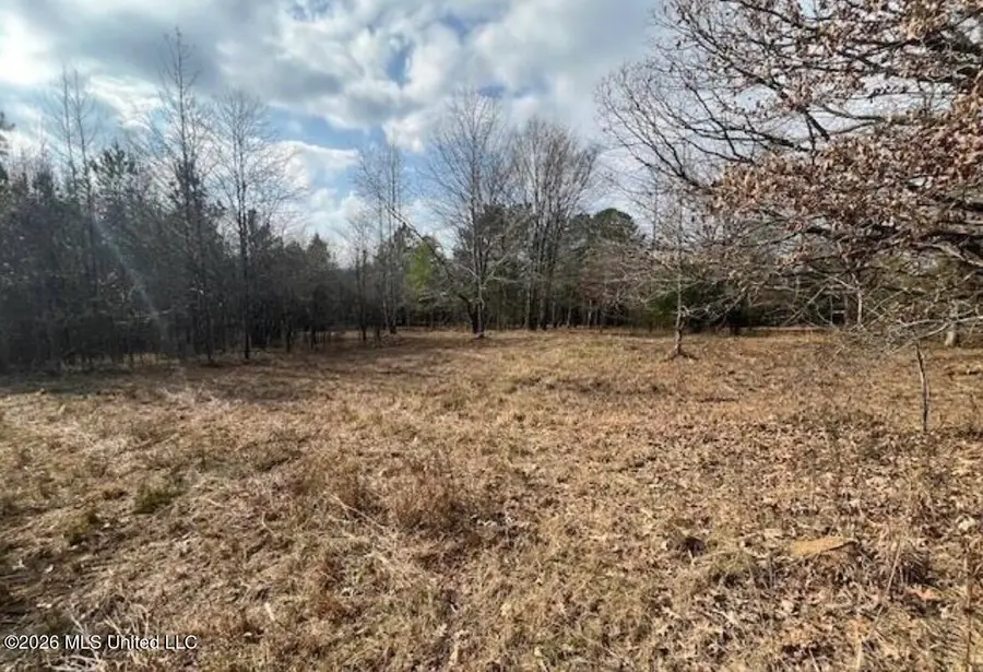 1397 Gravel Springs Road, Senatobia, MS 38668 - #3