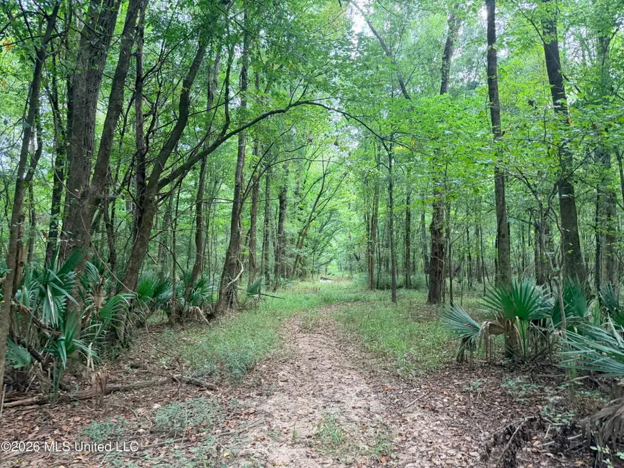 469, Pearl, MS 39208 - #3