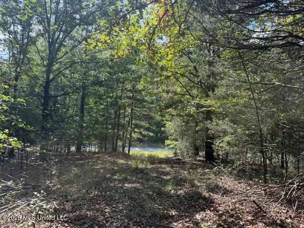 David Cove, Byhalia, MS 38611