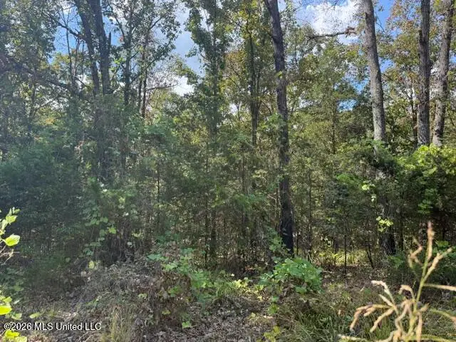 David Cove, Byhalia, MS 38611 - #2