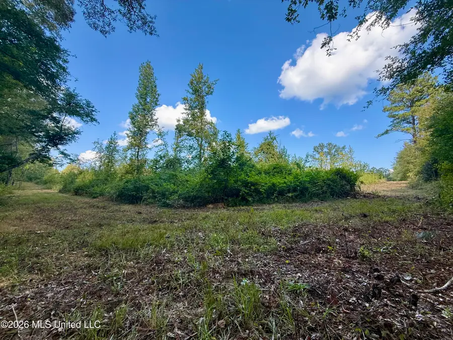 Cooper Road, Camden, MS 39045 - #2