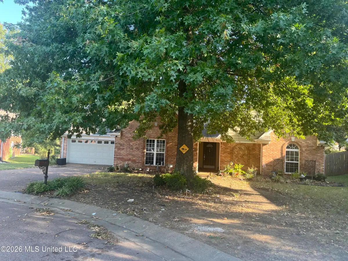 7562 Bear Cove, Walls, MS 38680 - #1